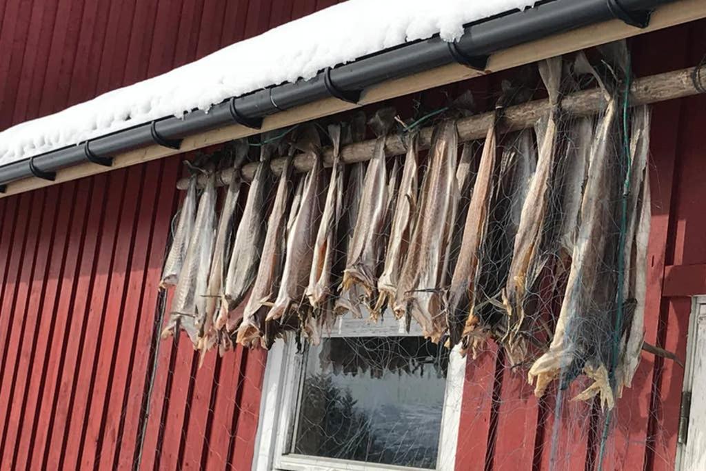 Nordlandshus Ved Lofotr Bostad Exterior foto